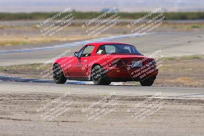 media/Oct-04-2025-OnGrid (Sat) [[44bd565ffa]]/Green Group/Grapevine/